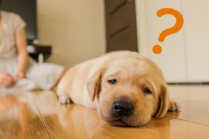 ビジネス横文字